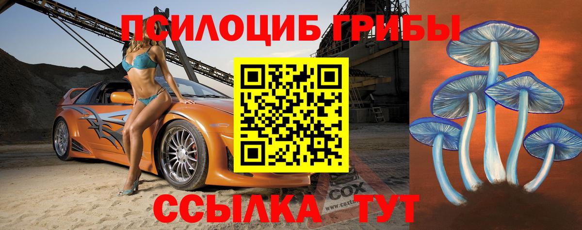 Псилоцибиновые грибы Cubensis  Галлюциногенные грибы прущие грибы  Новокузнецк  Вход с VPN 